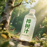 樺樹汁代加工無菌冷灌裝PET瓶